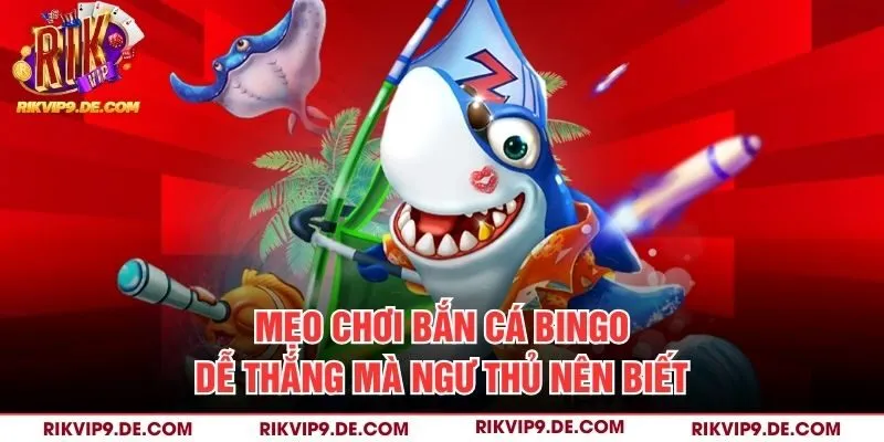 Mẹo chơi bắn cá bingo dễ thắng mà ngư thủ nên biết