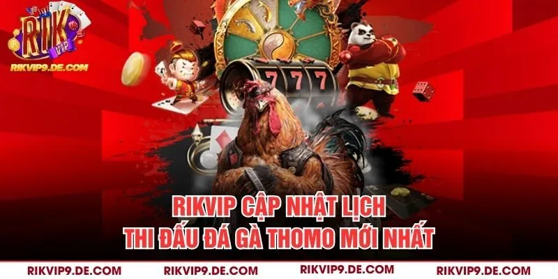 Rikvip cập nhật lịch thi đấu đá gà Thomo mới nhất