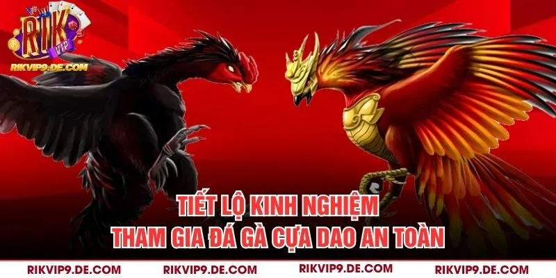 Tiết lộ kinh nghiệm tham gia đá gà cựa dao an toàn
